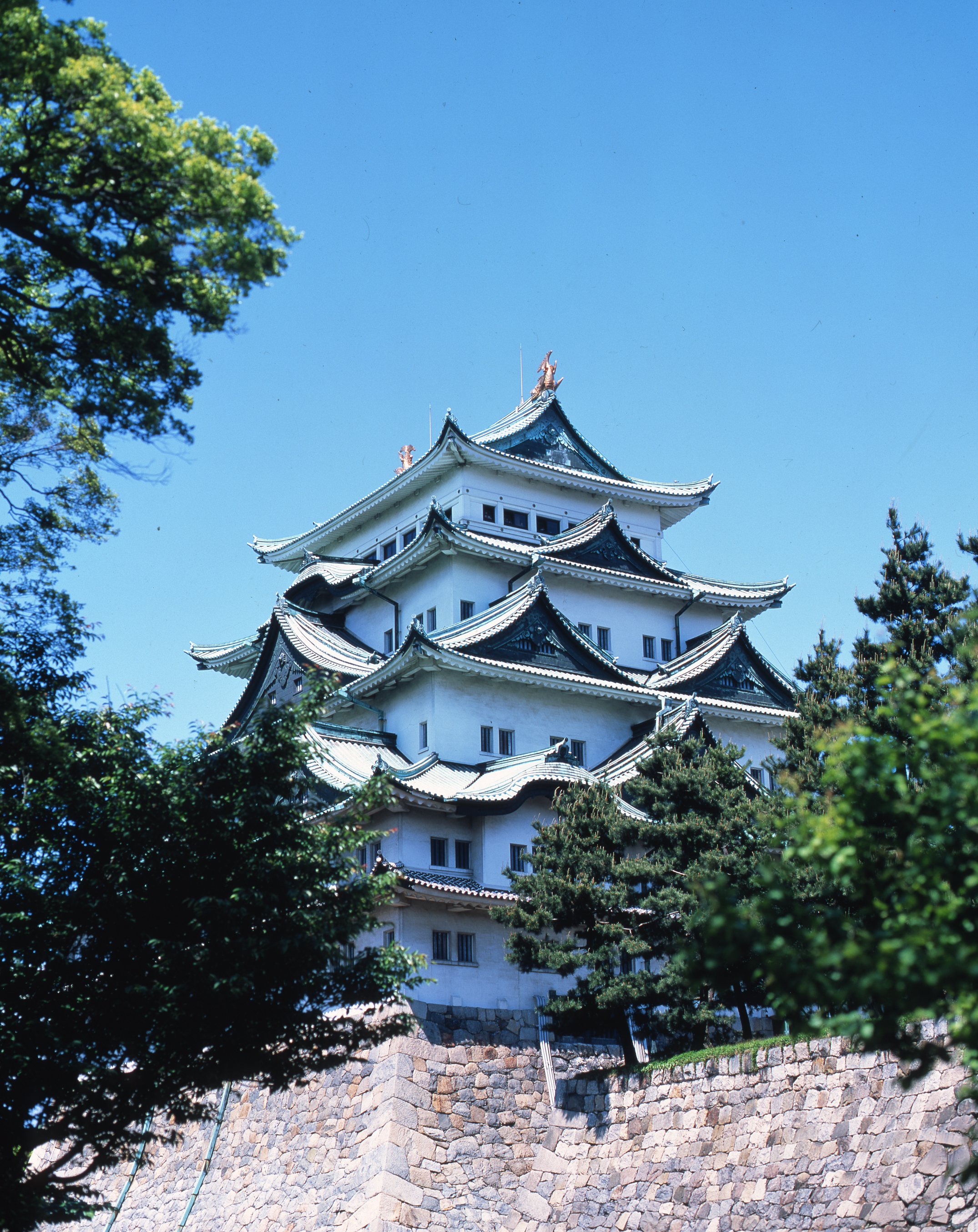 提供　名古屋城総合事務所