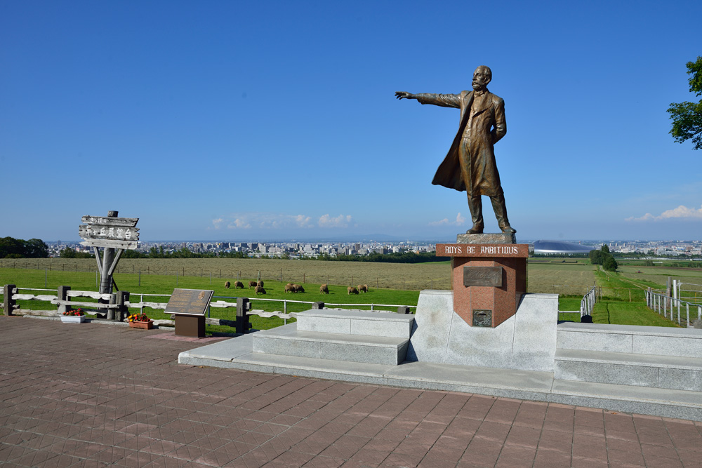 羊がたくさん！