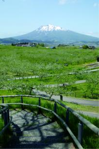 りんご公園から見える岩木山