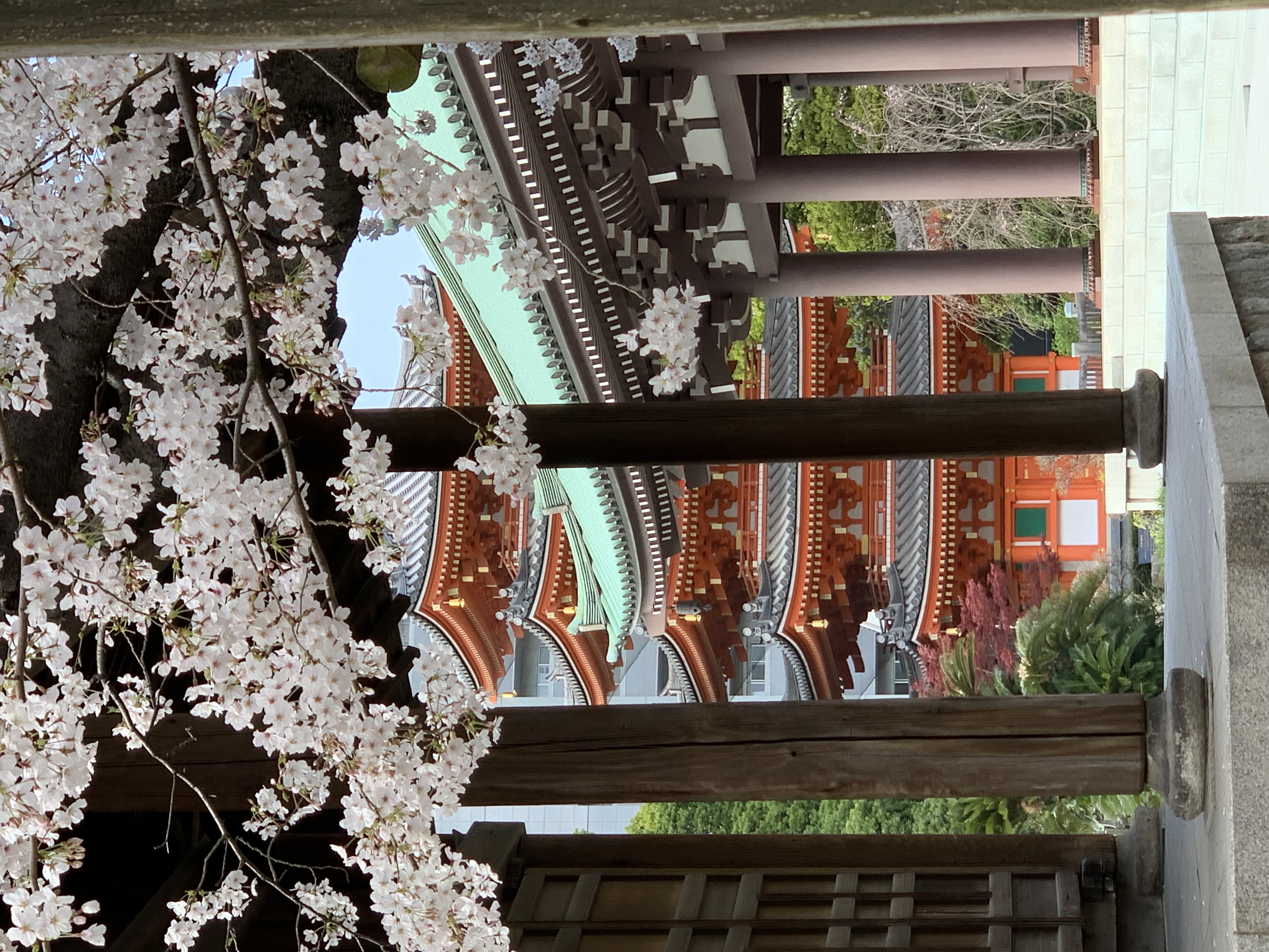 桜の季節の東長寺