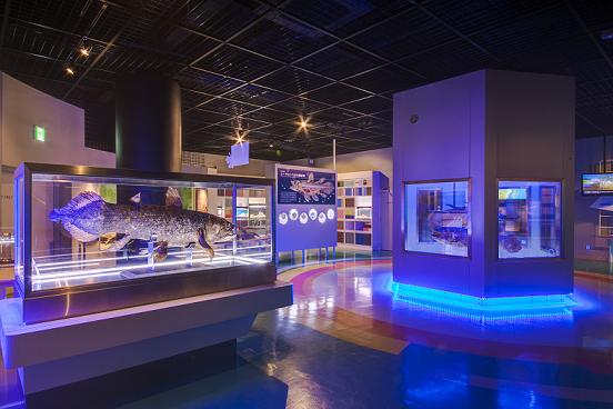 深海をテーマにした水族館です